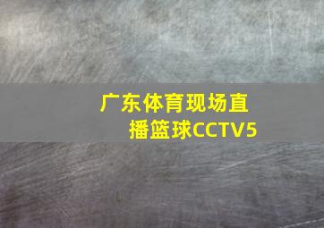 广东体育现场直播篮球CCTV5