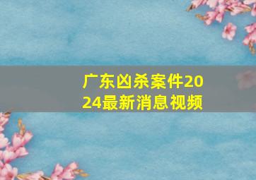 广东凶杀案件2024最新消息视频