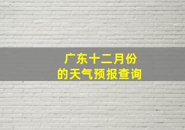 广东十二月份的天气预报查询