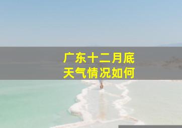 广东十二月底天气情况如何