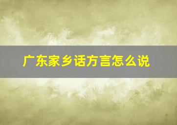 广东家乡话方言怎么说