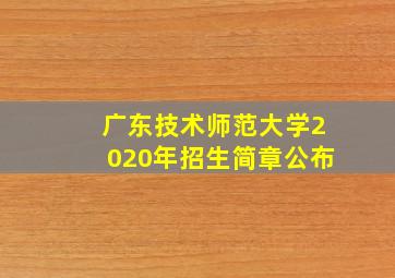 广东技术师范大学2020年招生简章公布