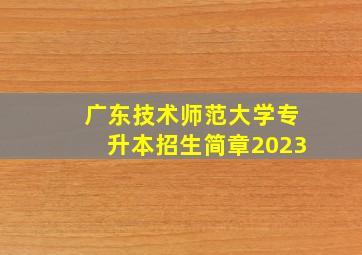 广东技术师范大学专升本招生简章2023