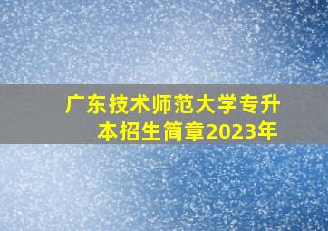 广东技术师范大学专升本招生简章2023年