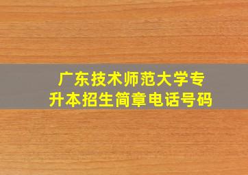 广东技术师范大学专升本招生简章电话号码