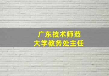 广东技术师范大学教务处主任