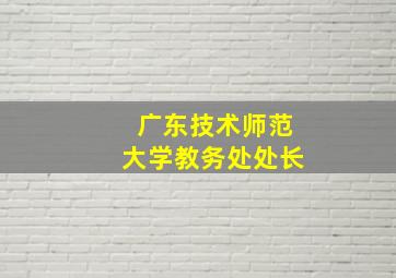 广东技术师范大学教务处处长