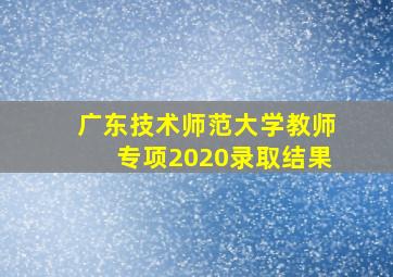 广东技术师范大学教师专项2020录取结果