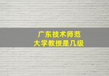 广东技术师范大学教授是几级