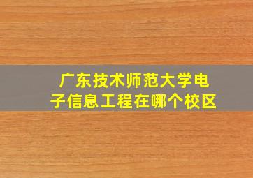 广东技术师范大学电子信息工程在哪个校区