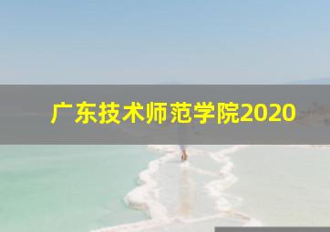 广东技术师范学院2020