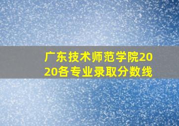 广东技术师范学院2020各专业录取分数线