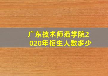 广东技术师范学院2020年招生人数多少