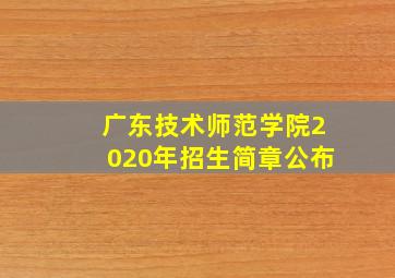 广东技术师范学院2020年招生简章公布