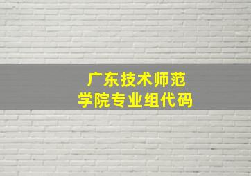 广东技术师范学院专业组代码