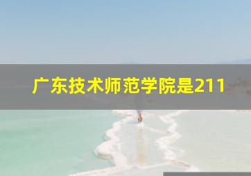 广东技术师范学院是211