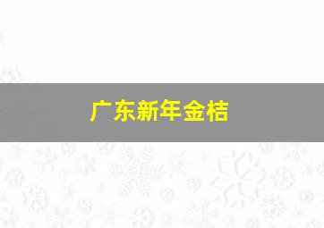 广东新年金桔