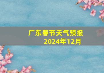 广东春节天气预报2024年12月