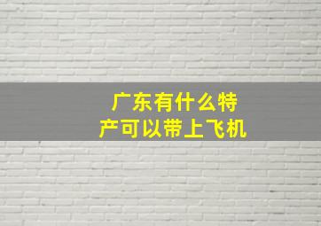 广东有什么特产可以带上飞机