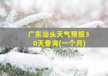 广东汕头天气预报30天查询(一个月)