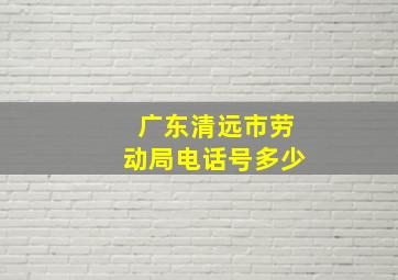 广东清远市劳动局电话号多少