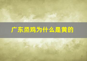 广东烝鸡为什么是黄的