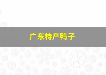 广东特产鸭子