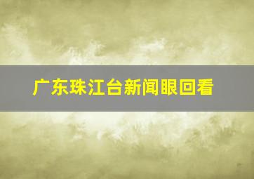 广东珠江台新闻眼回看