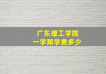 广东理工学院一学期学费多少