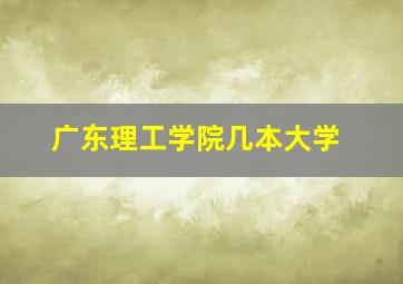 广东理工学院几本大学