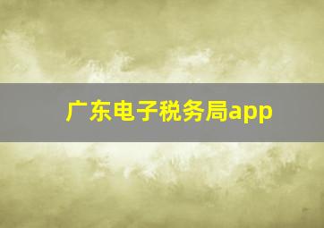 广东电子税务局app