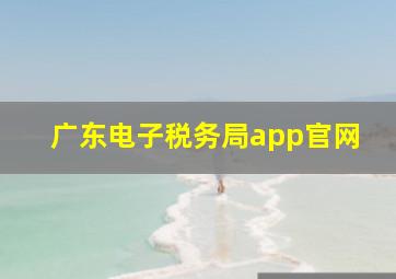 广东电子税务局app官网