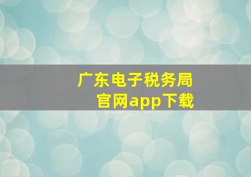 广东电子税务局官网app下载