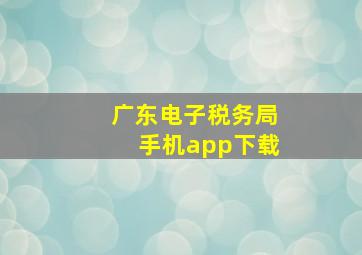 广东电子税务局手机app下载