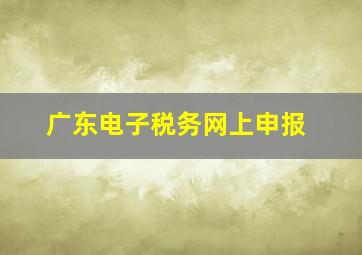 广东电子税务网上申报