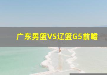 广东男篮VS辽篮G5前瞻