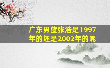 广东男篮张浩是1997年的还是2002年的呢