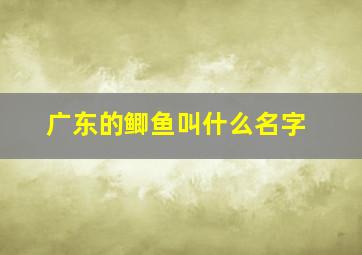 广东的鲫鱼叫什么名字