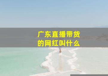 广东直播带货的网红叫什么