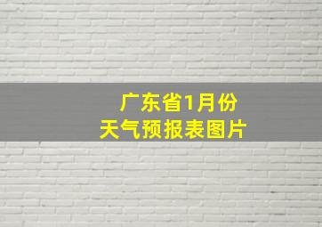 广东省1月份天气预报表图片