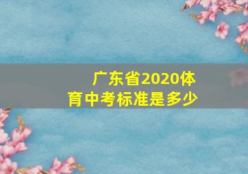 广东省2020体育中考标准是多少