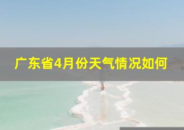 广东省4月份天气情况如何