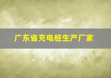 广东省充电桩生产厂家