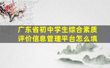 广东省初中学生综合素质评价信息管理平台怎么填