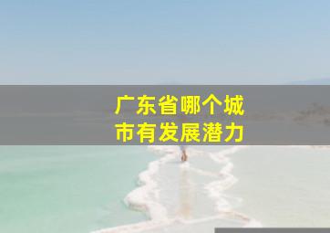 广东省哪个城市有发展潜力