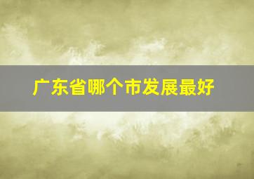 广东省哪个市发展最好