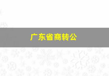 广东省商转公