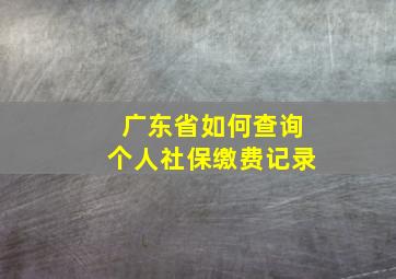 广东省如何查询个人社保缴费记录