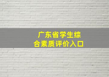 广东省学生综合素质评价入口