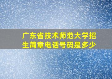 广东省技术师范大学招生简章电话号码是多少